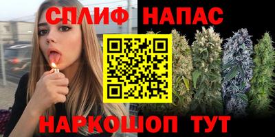 дмт Туймазы