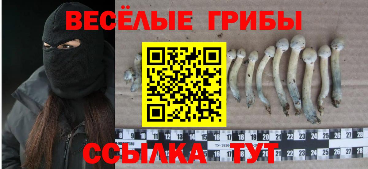 Назрань  Псилоцибиновые грибы мицелий  Вход с VPN 